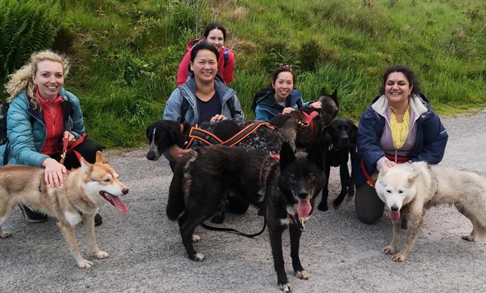 Husky Hiking Hen Party
